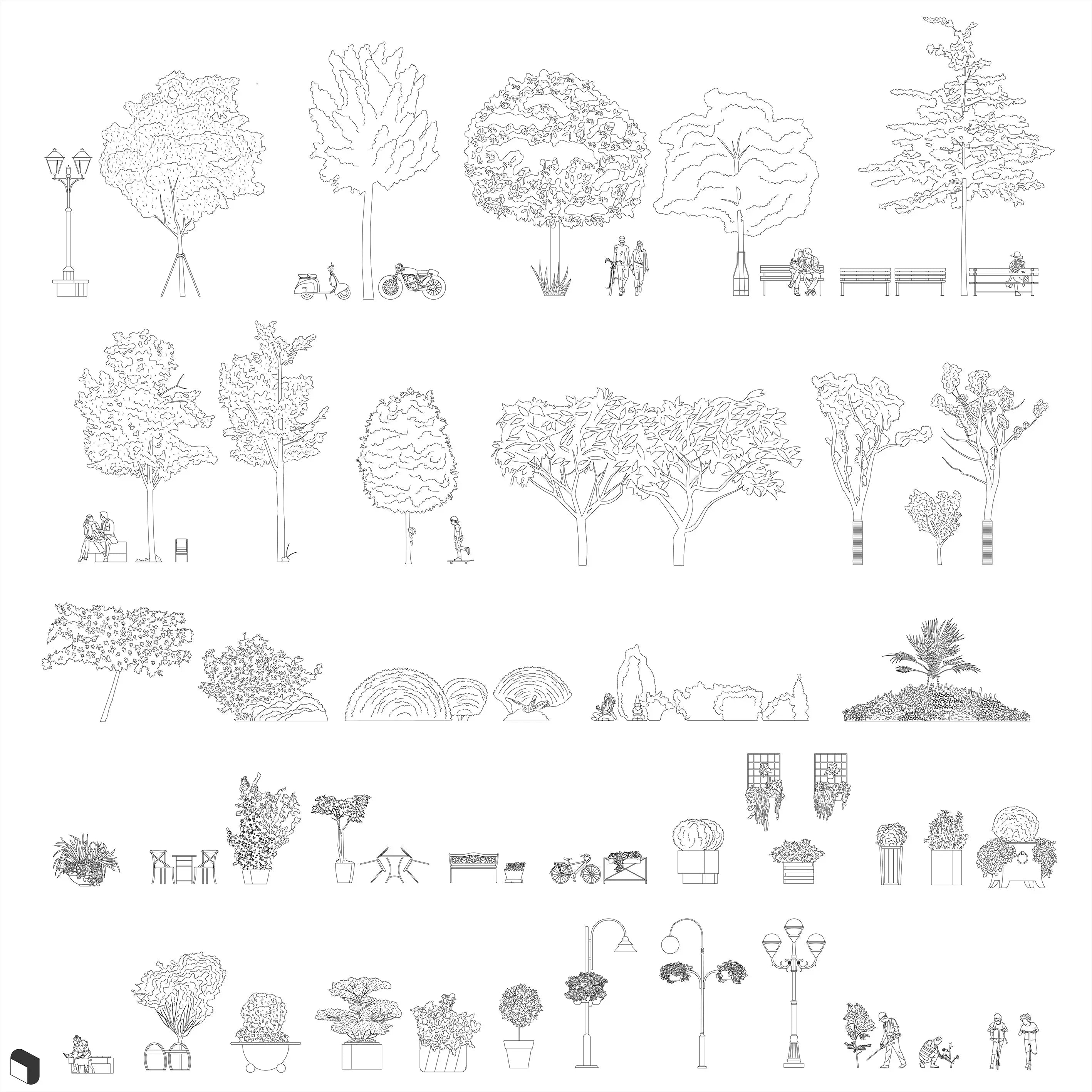 Cad Urban Plant Vegetation Uncategorized drawings | Toffu Co
