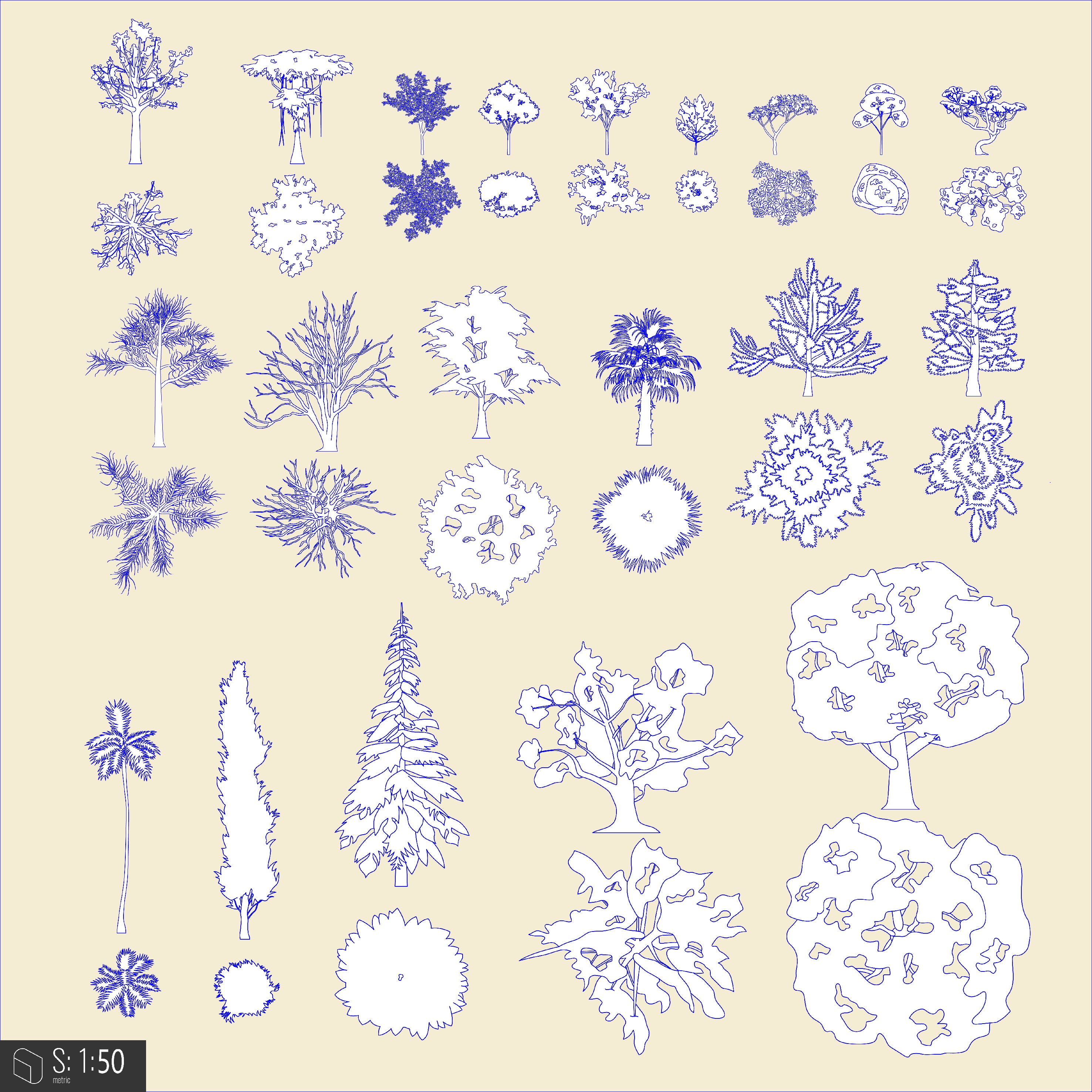 Cad Trees Multi-Angle DWG | Toffu Co