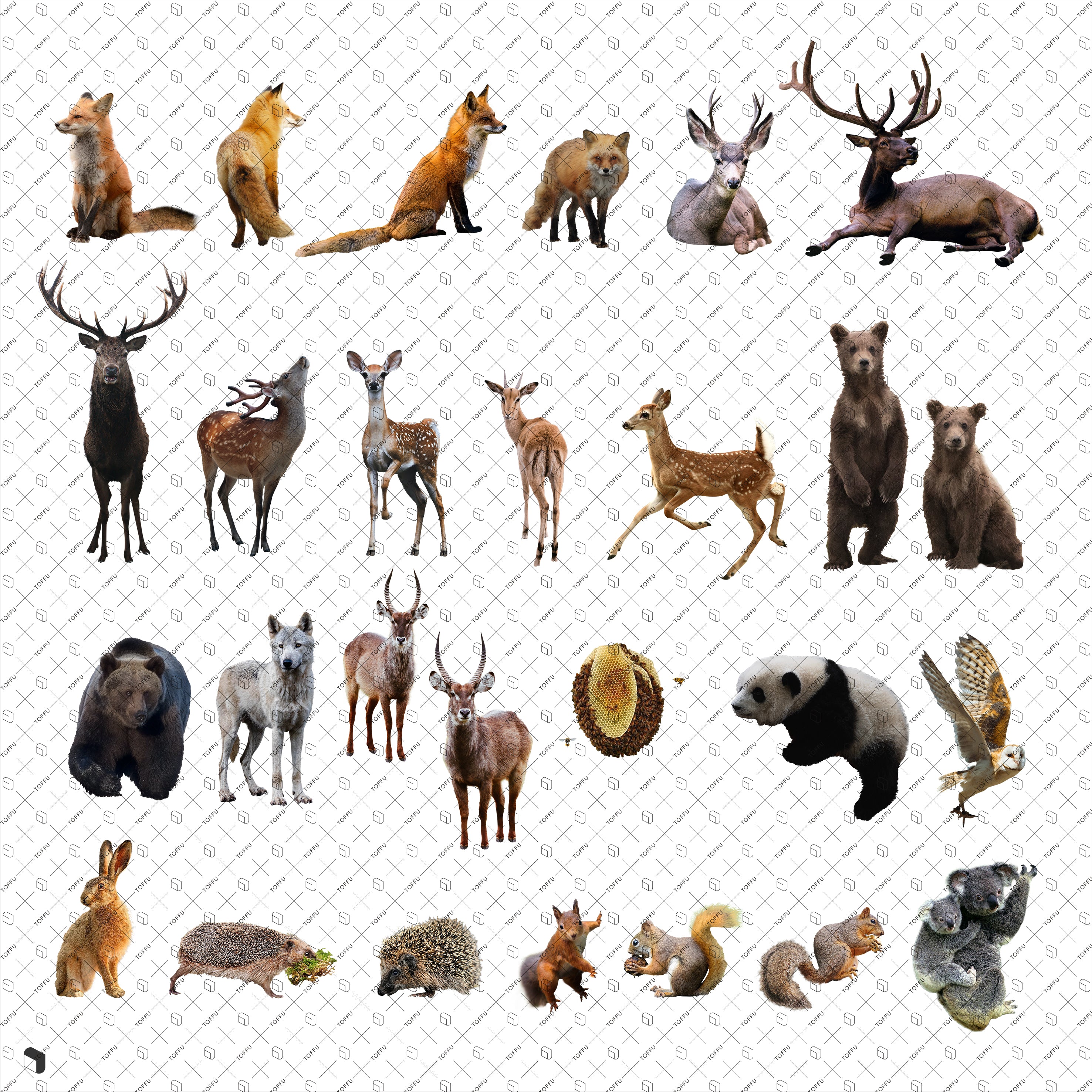 Cutout Forest Animals PNG - Toffu Co