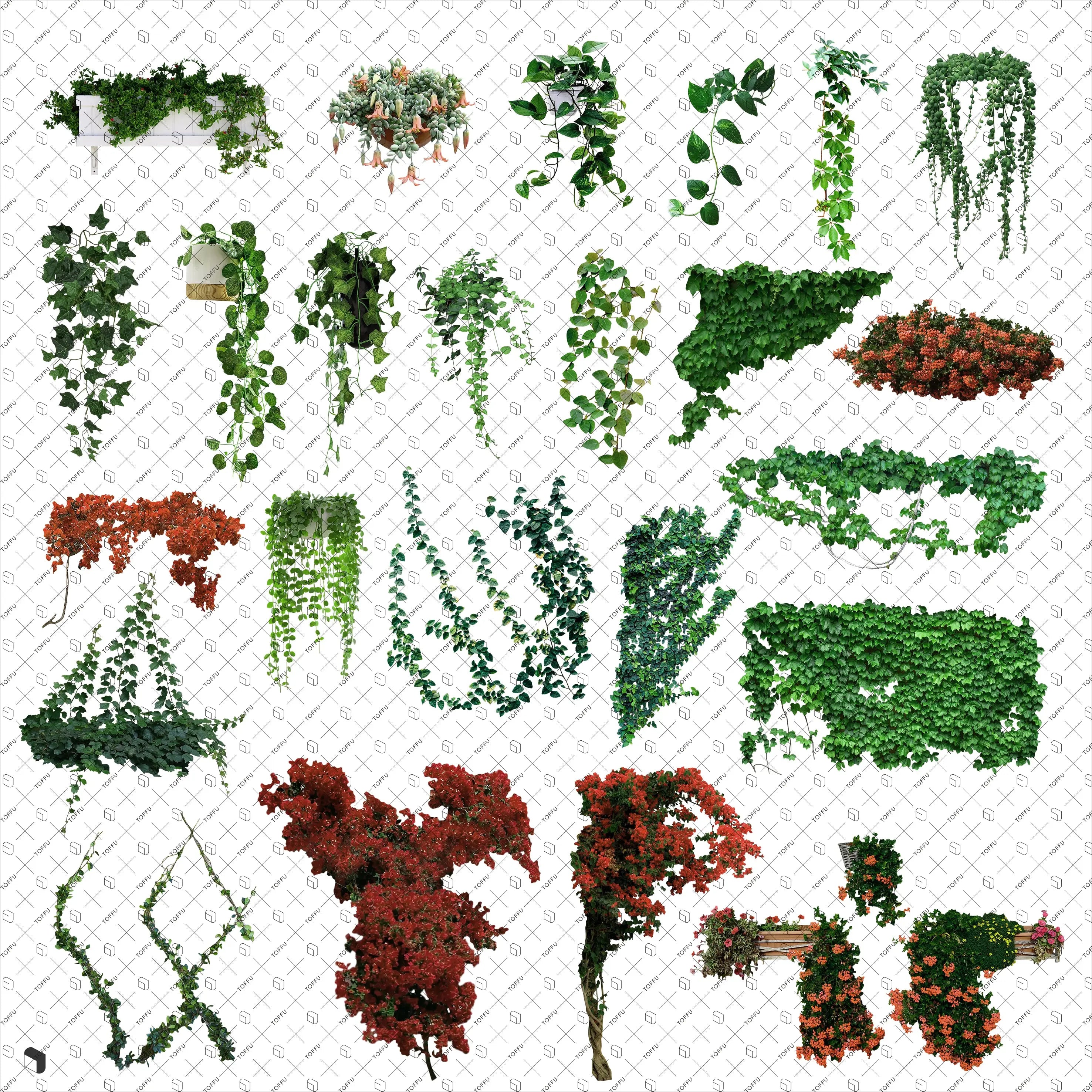 Cutout Ivy Vegetation Uncategorized drawings | Toffu Co