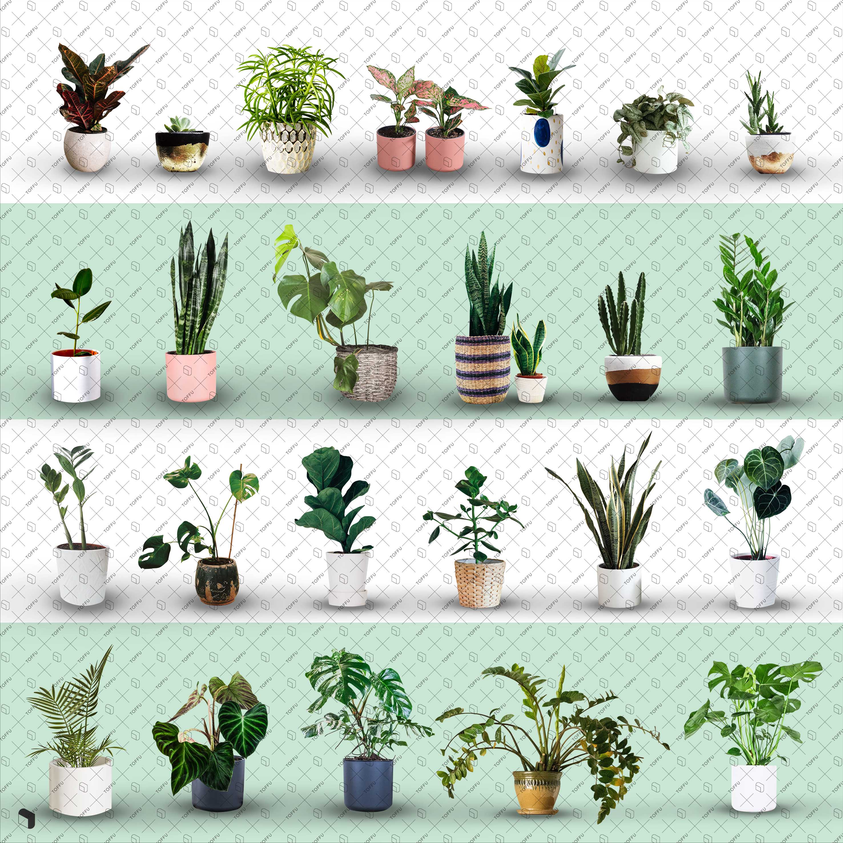 Cutout Potted Plants 2 PNG - Toffu Co