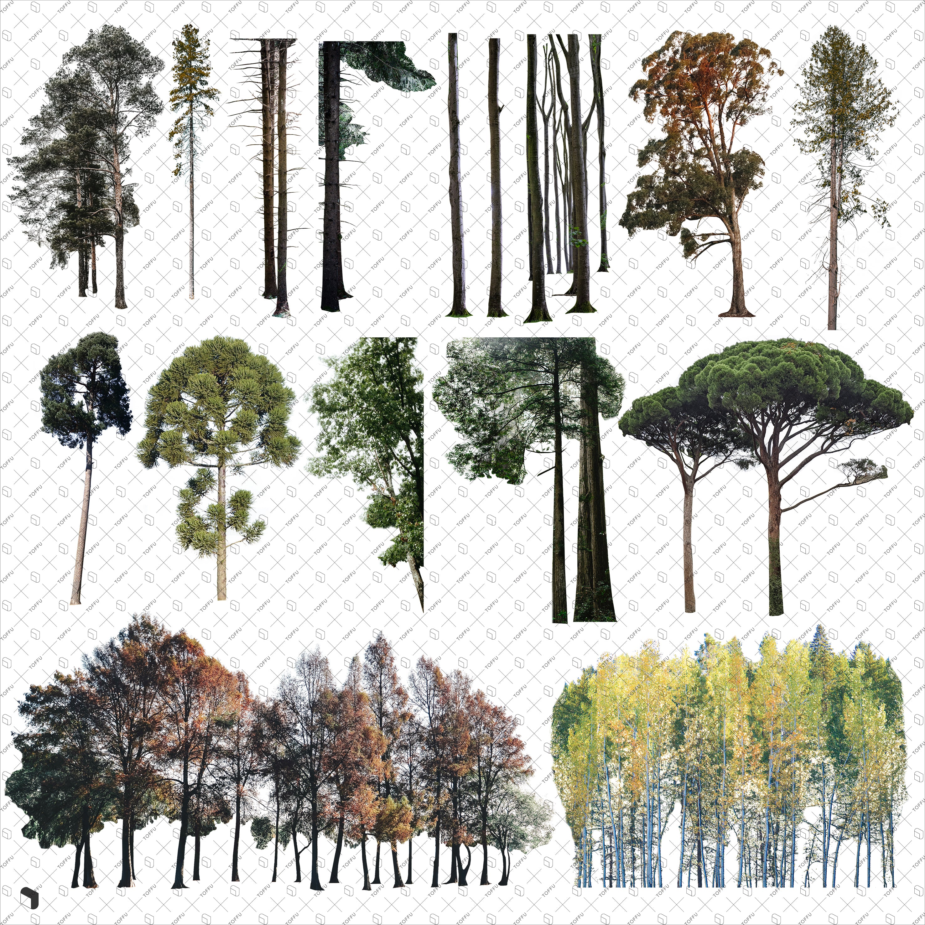 Cutout Tall Trees PNG - Toffu Co