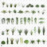 Cutout Vegetation 4 PSD | Toffu Co