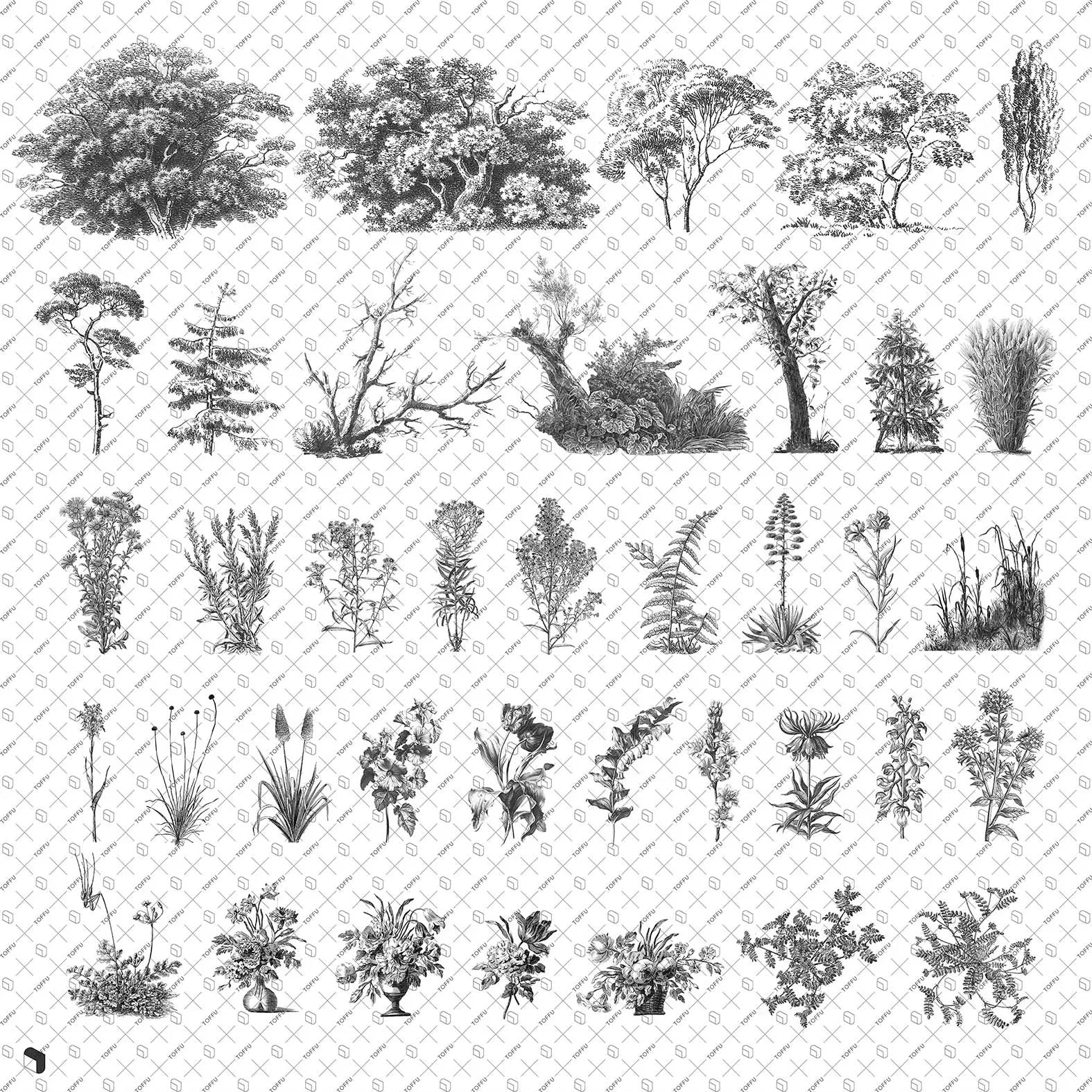 Cutout Vegetation 7 Uncategorized drawings | Toffu Co