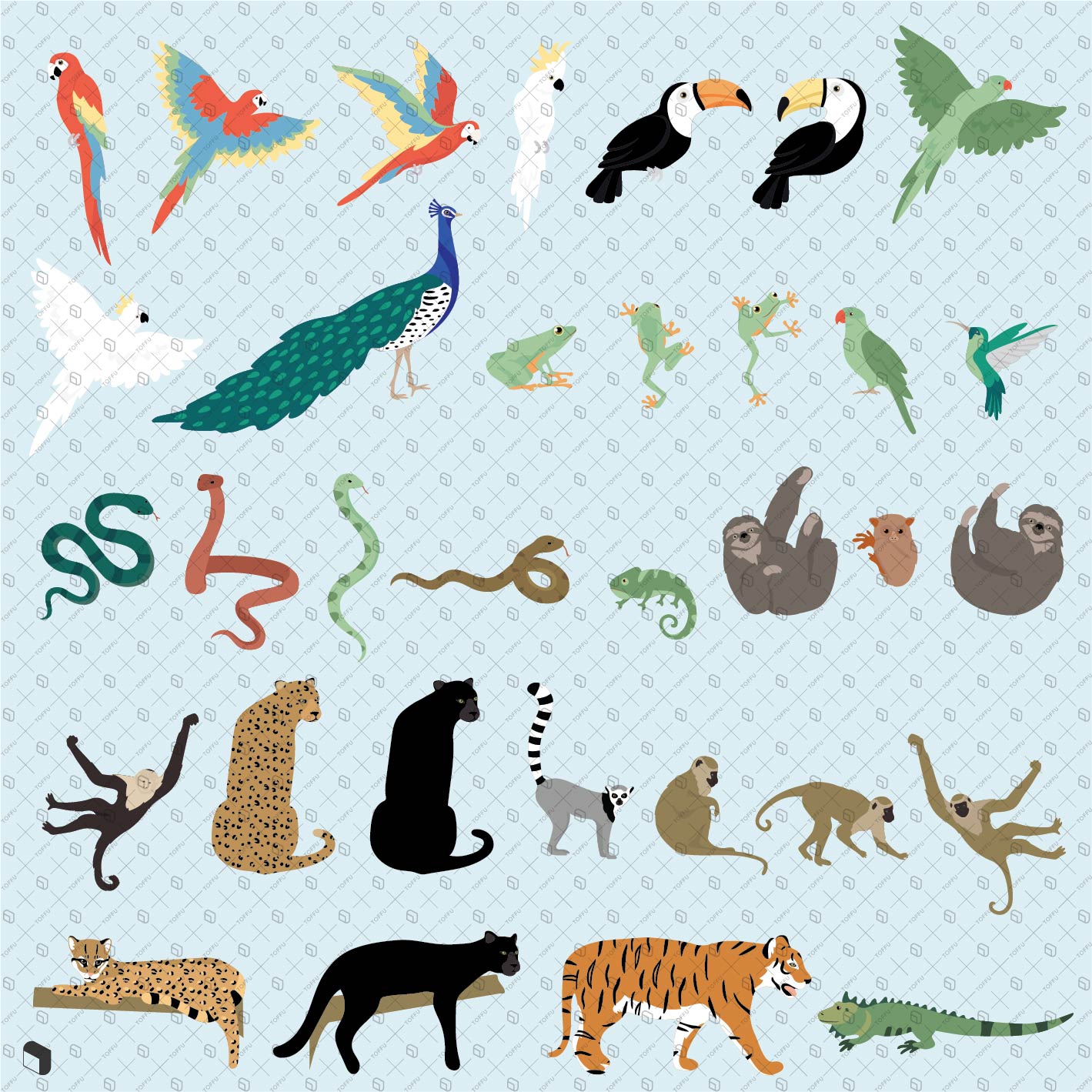 Flat Vector Exotic Animals PNG - Toffu Co