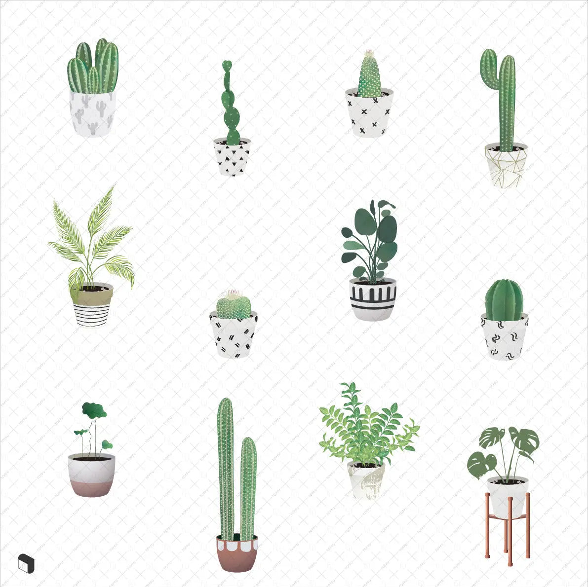 Flat Vector Interior Plants Digital Artwork drawings | Toffu Co