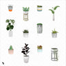 Flat Vector Interior Plants 2 Digital Artwork drawings | Toffu Co