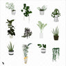 Flat Vector Interior Plants 4 - Toffu Co