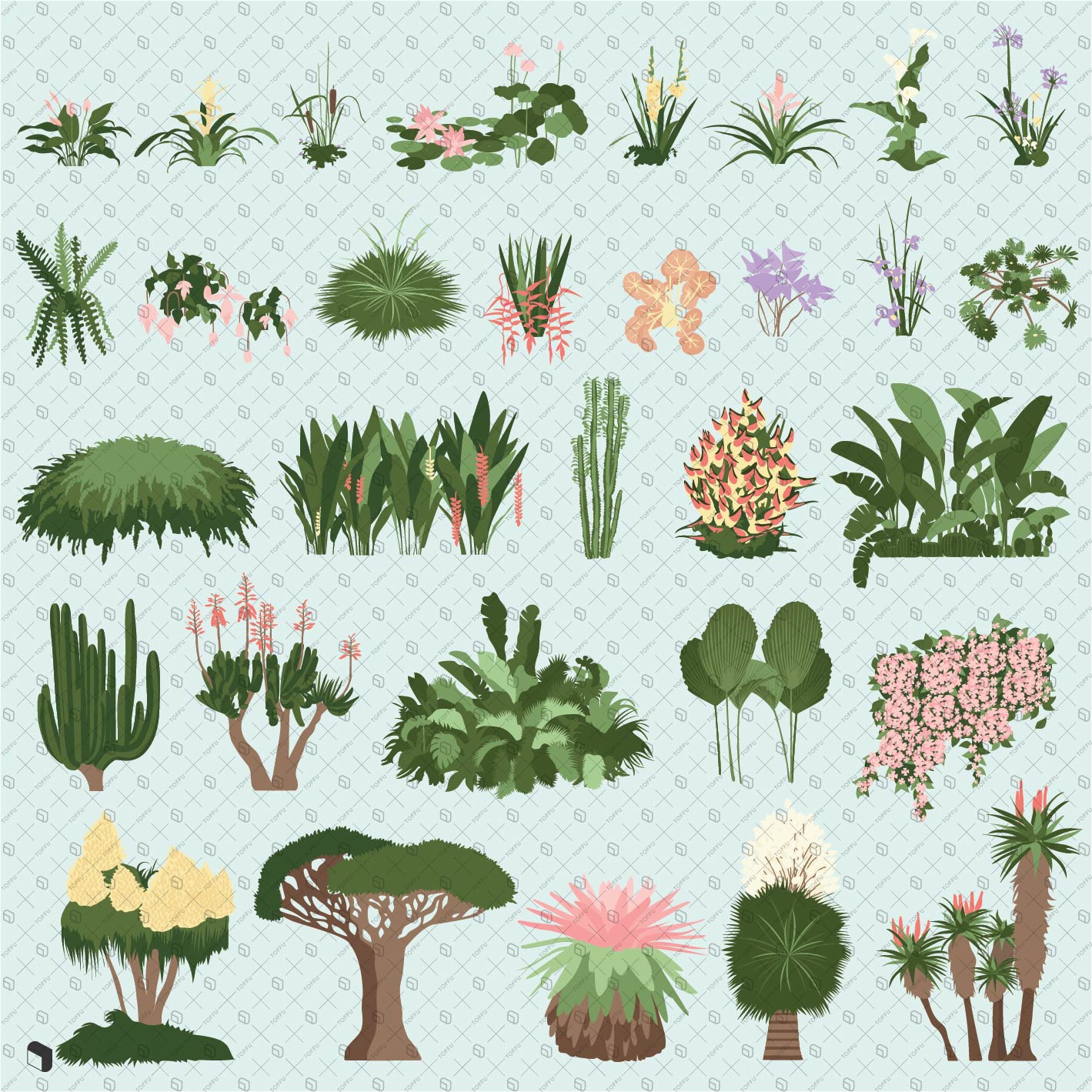 Flat Vector Exotic Plants PNG - Toffu Co