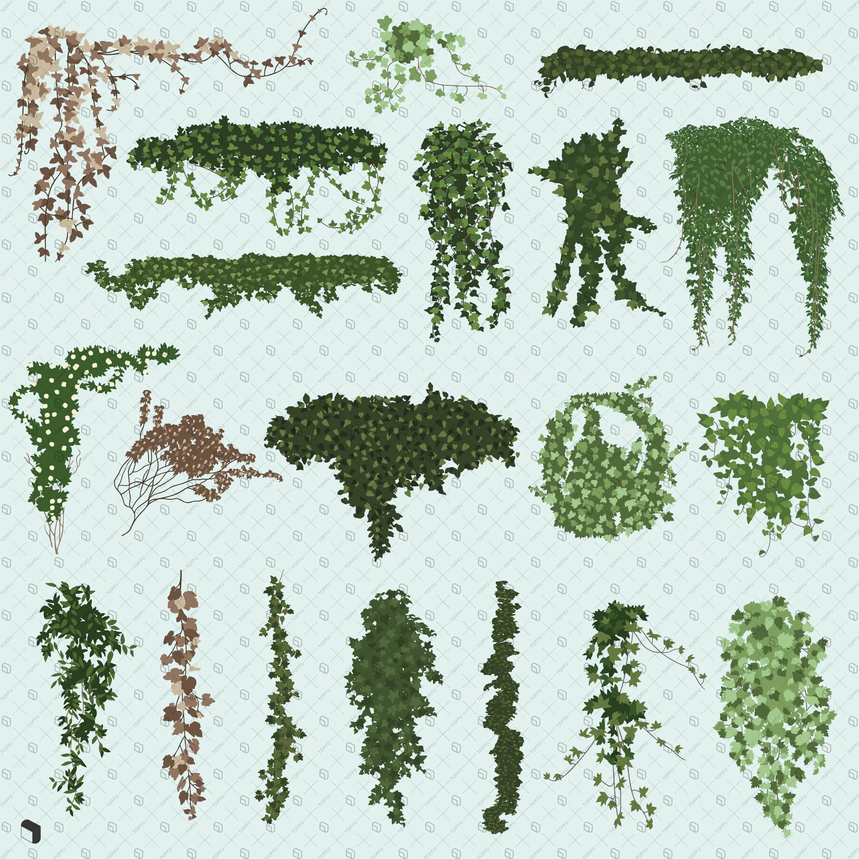 Flat Vector Ivy Digital Artwork drawings | Toffu Co