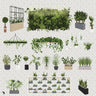 Flat Vector Office Plants Digital Artwork drawings | Toffu Co