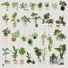 Flat Vector 44 Potted Plants Pack PNG - Toffu Co