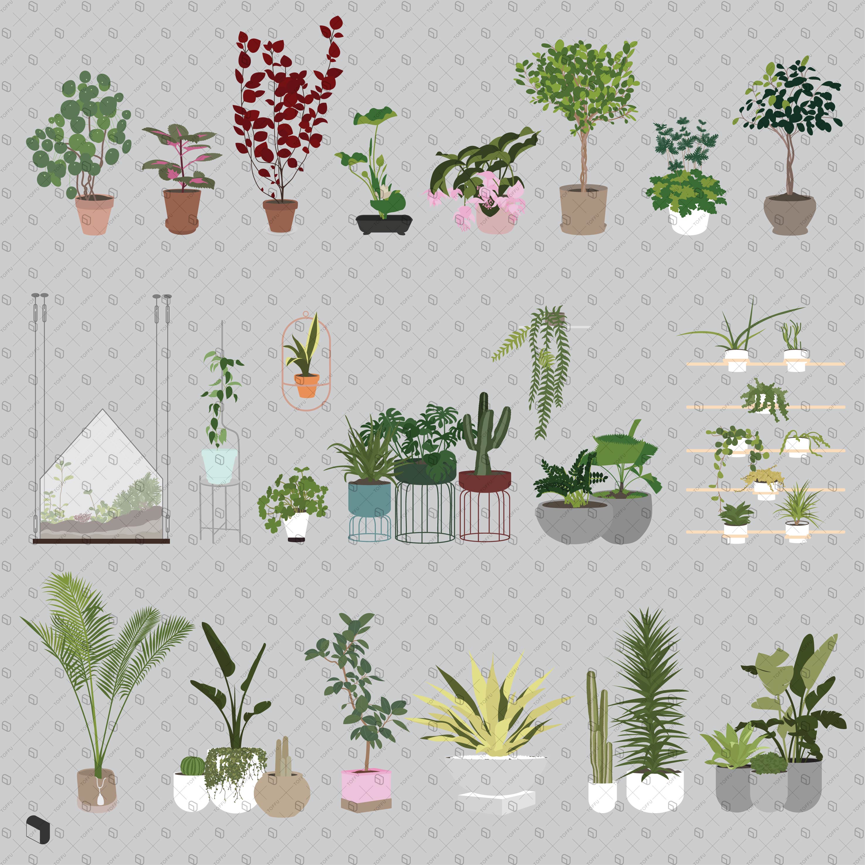 Flat Vector 30 Potted Plants Pack PNG - Toffu Co