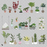 Flat Vector 30 Potted Plants Pack PNG - Toffu Co