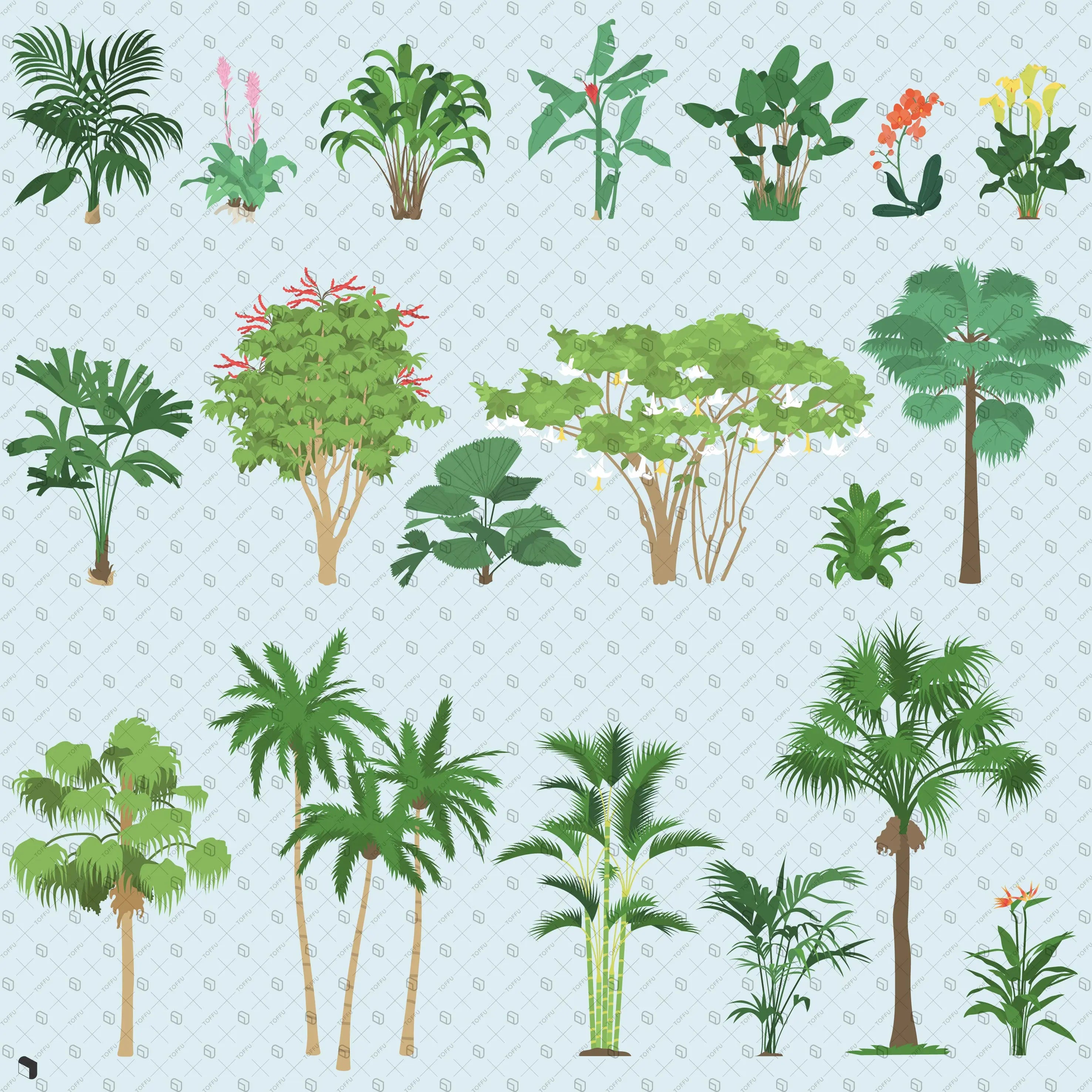 Flat Vector Scene Plants 3 Uncategorized drawings | Toffu Co