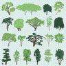 Flat Vector 20 Trees Pack Digital Artwork drawings | Toffu Co