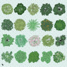 Flat Vector Trees Top View 1 Digital Artwork drawings | Toffu Co