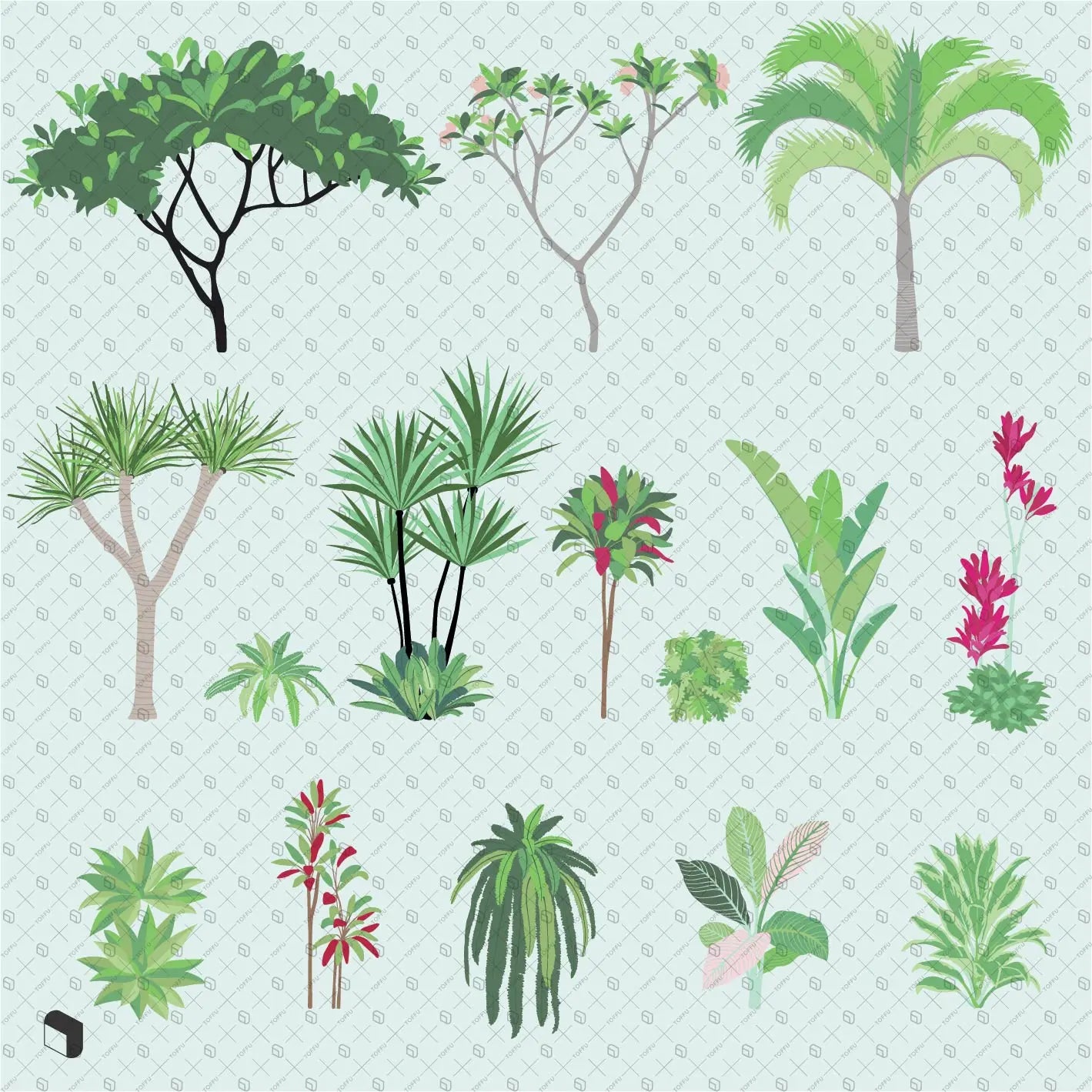 Flat Vector Tropical Plants 1 Digital Artwork drawings | Toffu Co