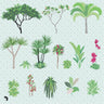 Flat Vector Tropical Plants PNG - Toffu Co