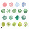 Flat Vector Watercolor Trees Top View PNG - Toffu Co