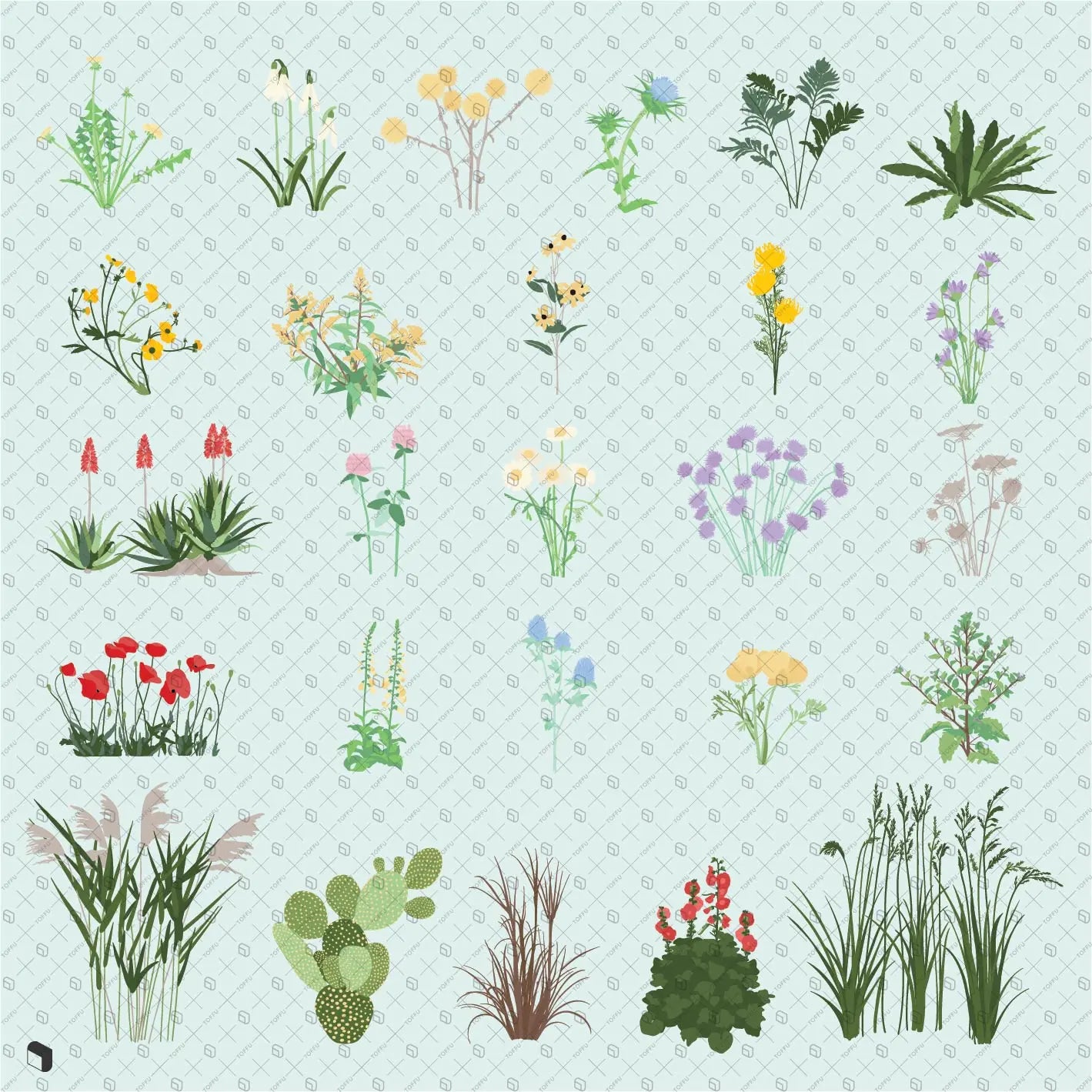 Flat Vector Wild Plants Digital Artwork drawings | Toffu Co