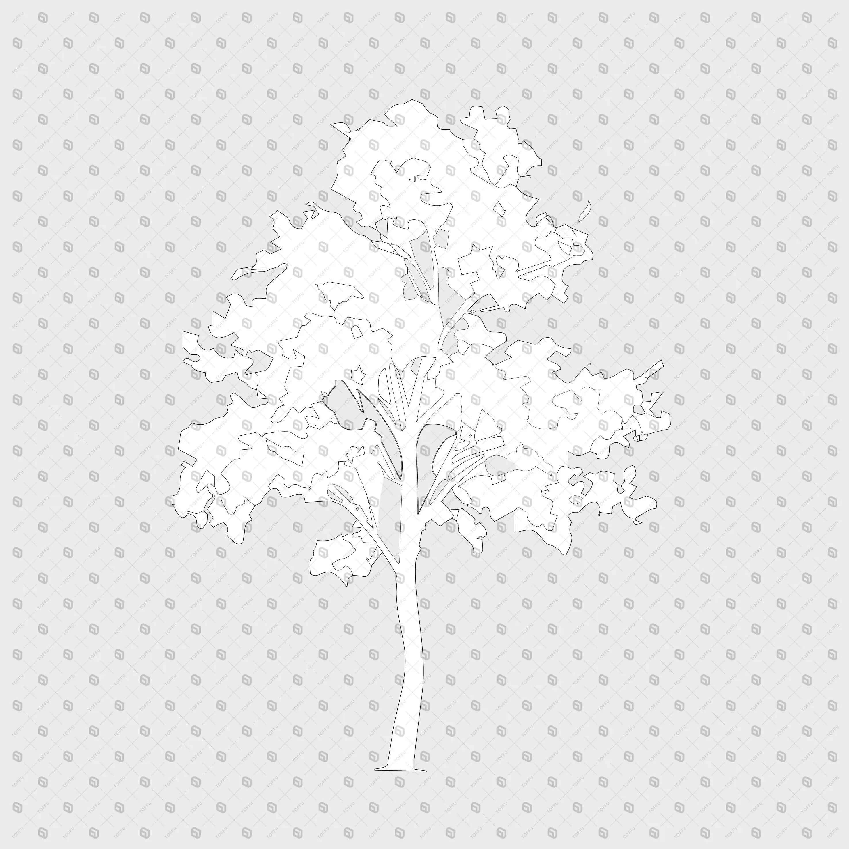 Cad Trees Digital Artwork drawings | Toffu Co