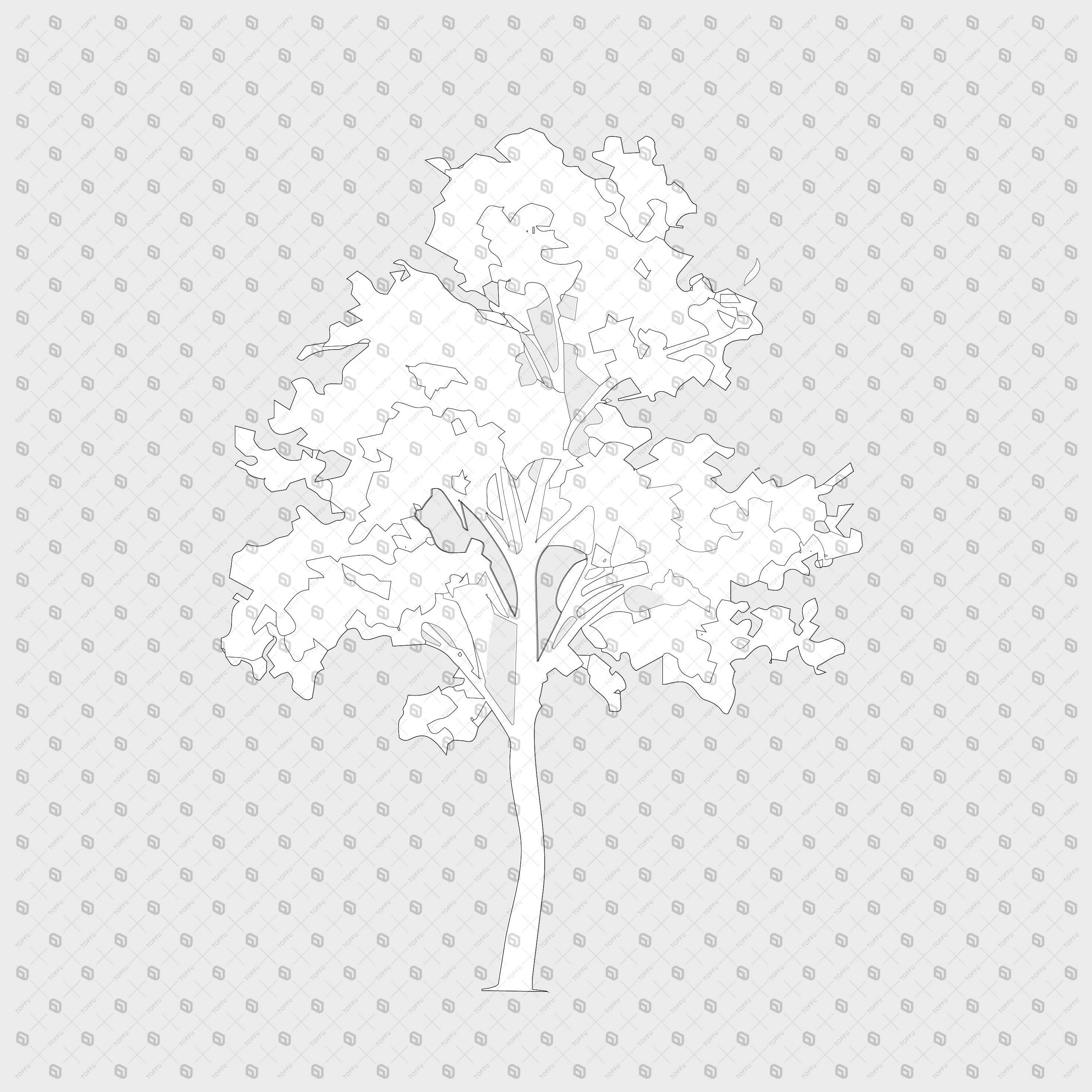 Cad Trees PNG - Toffu Co