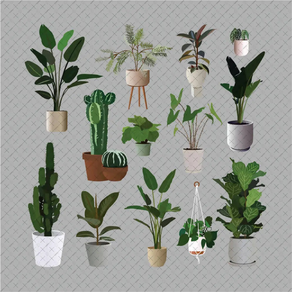 Flat Vector 14 Plants Pack Digital Artwork drawings | Toffu Co