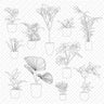 Cad Potted Plants DWG | Toffu Co