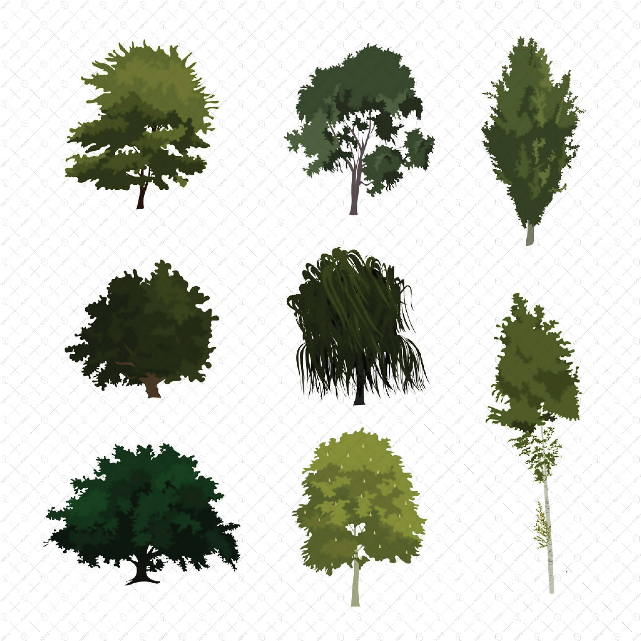 Flat Vector European Deciduous Trees PNG - Toffu Co