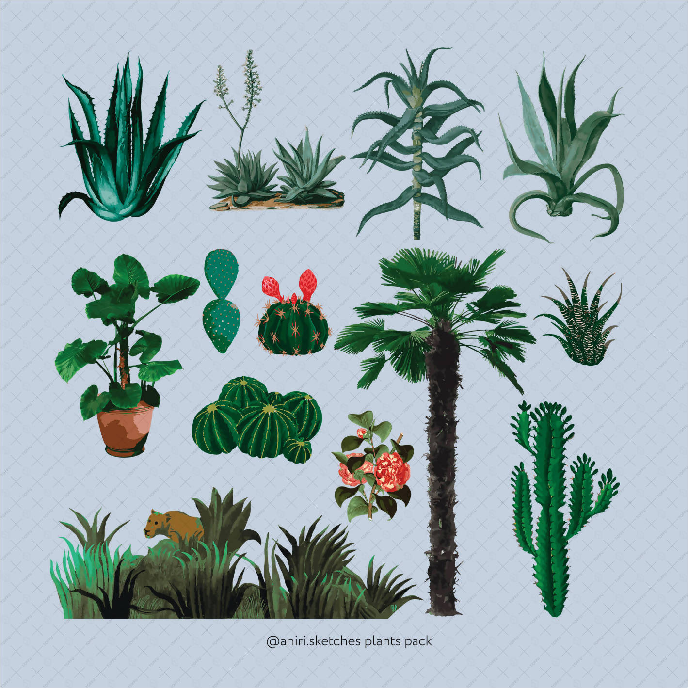 Flat Vector Illustrated Pack - "Plants" PNG - Toffu Co
