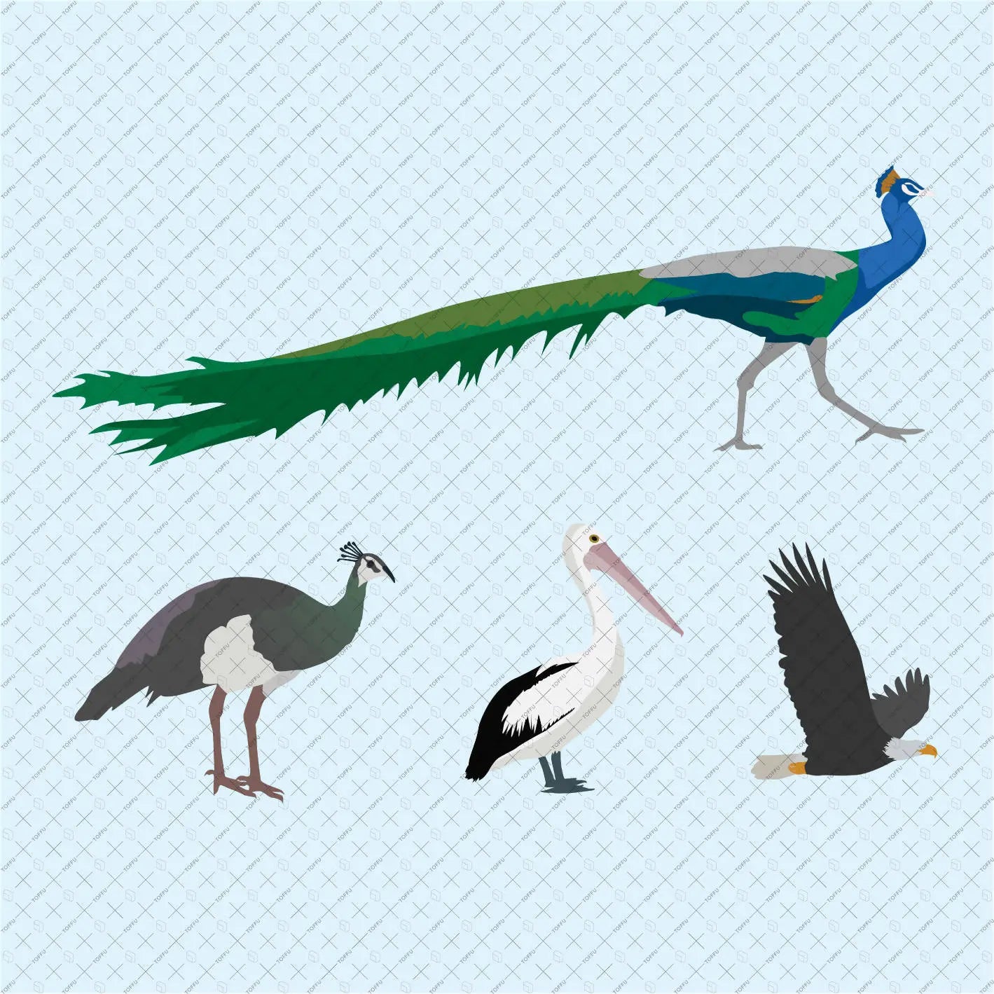 Flat Vector 53 Birds Digital Artwork drawings | Toffu Co