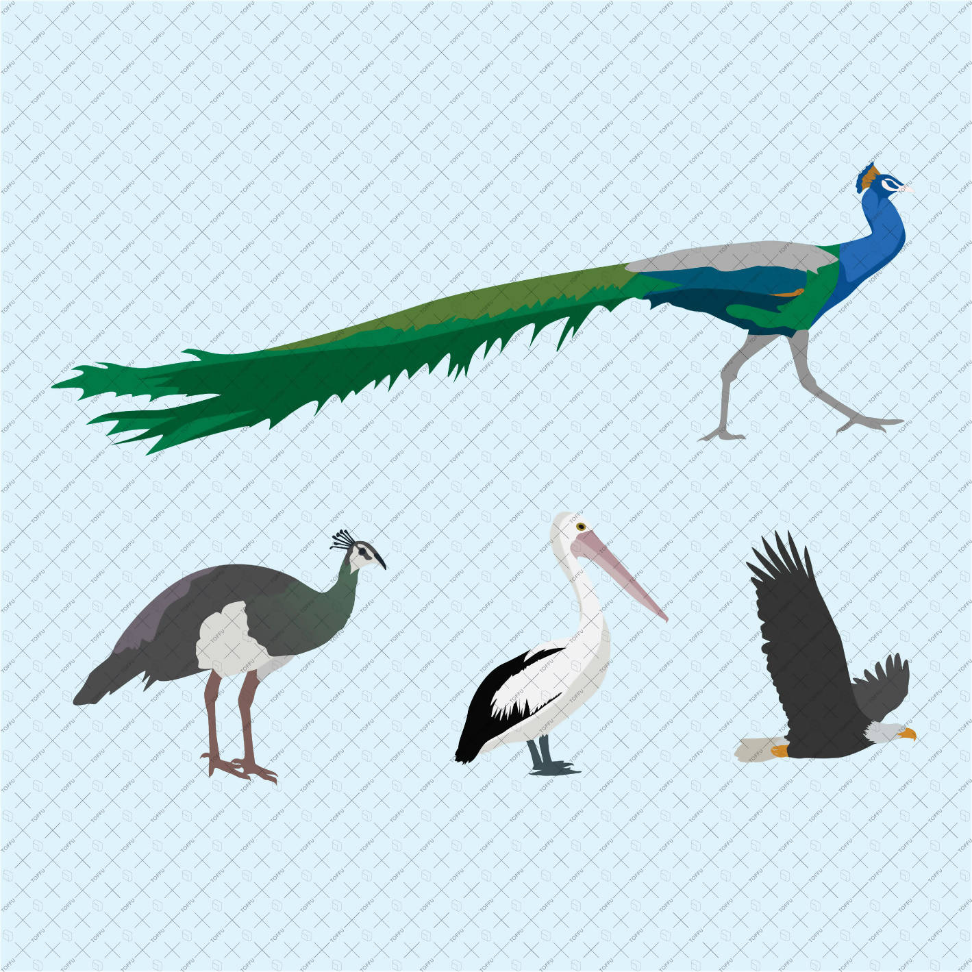 Flat Vector 53 Birds PNG - Toffu Co