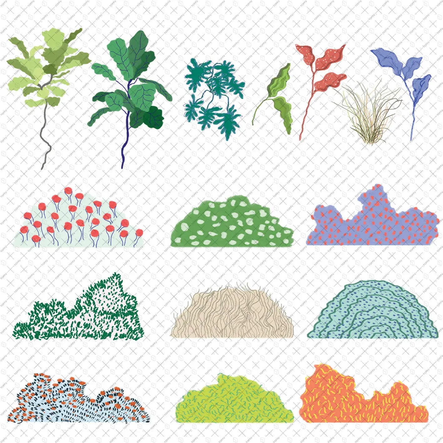 Illustration Vivid Nature Plants Digital Artwork drawings | Toffu Co