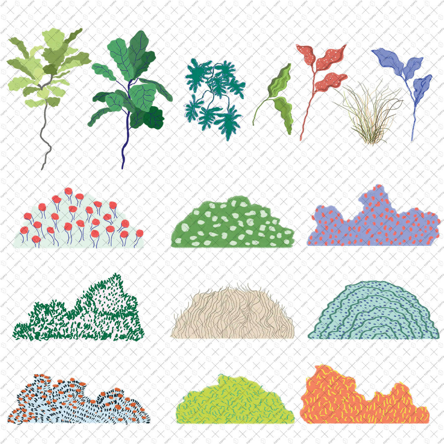 Illustration Vivid Nature Plants PNG - Toffu Co