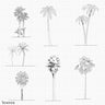 Cad African Tropical Palm Tree III PNG - Toffu Co