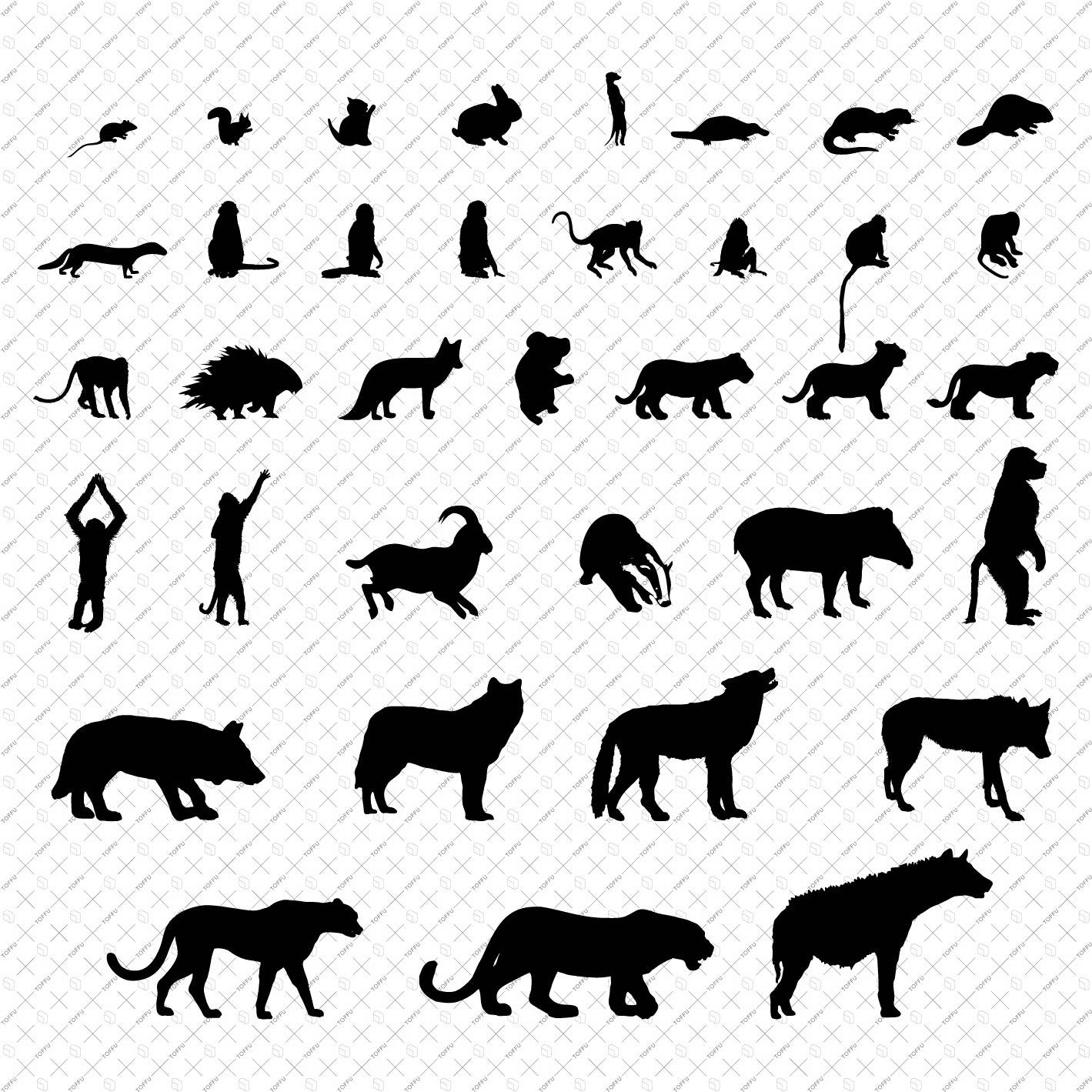 Flat Vector Animals PNG - Toffu Co