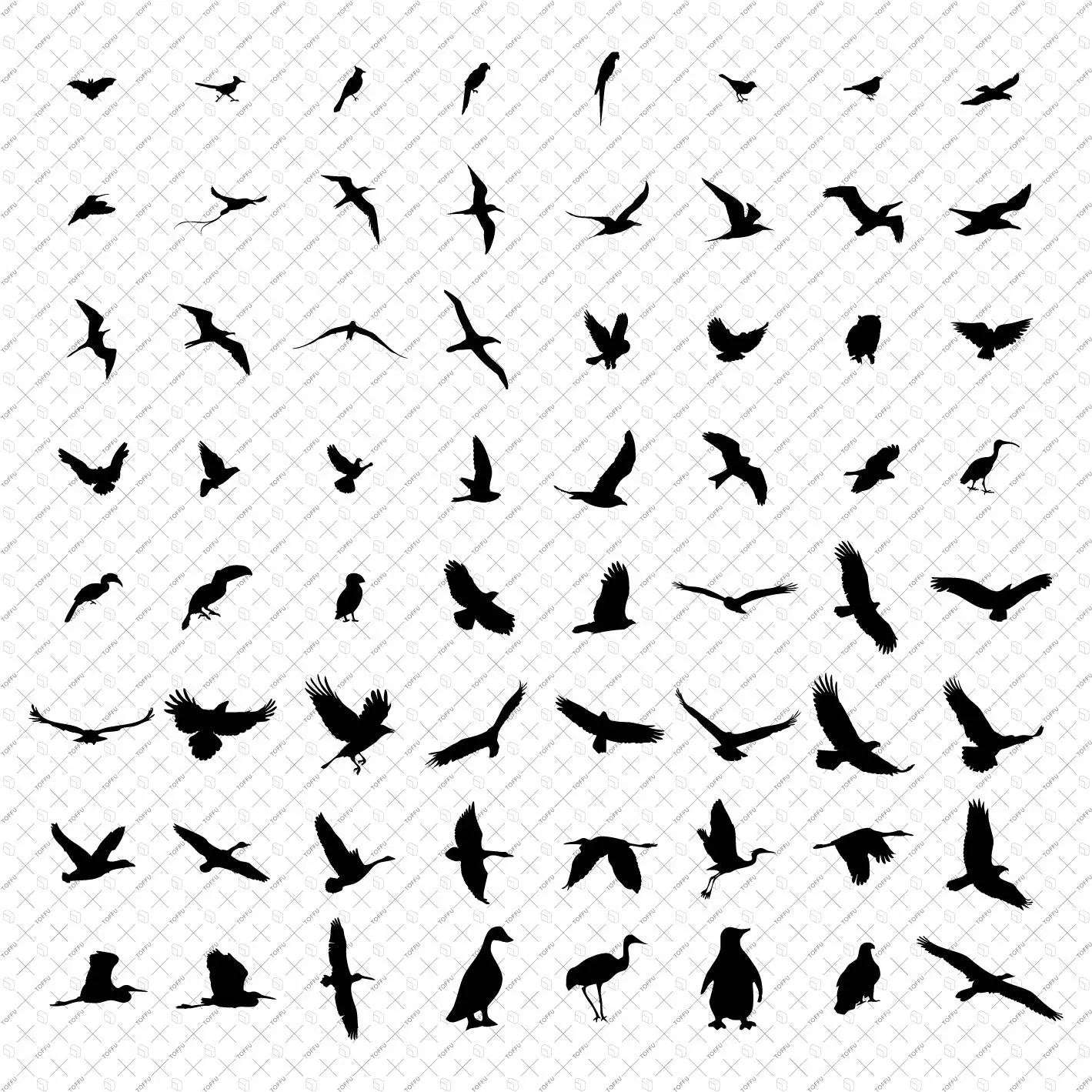 Flat Vector Animals Digital Artwork drawings | Toffu Co